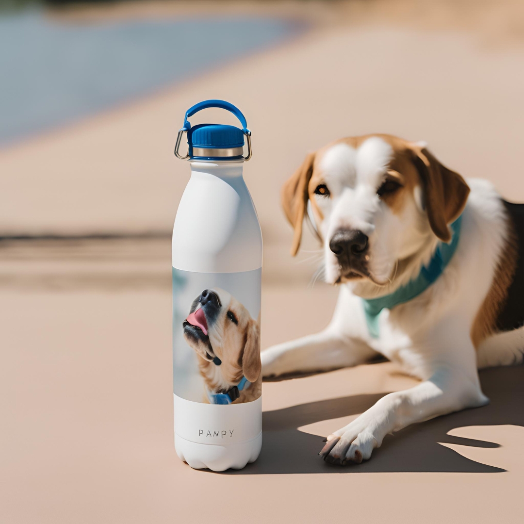 gourde personnalisé cadeau pour chien