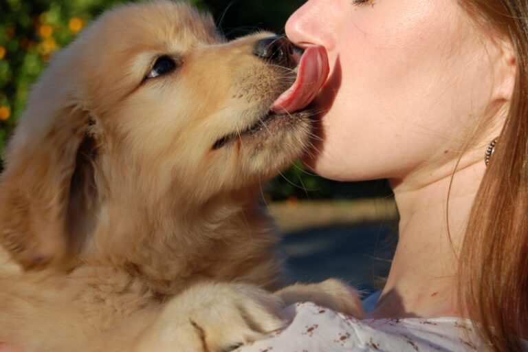 une femme qui se fait lécher le visage par son chien en gros plan