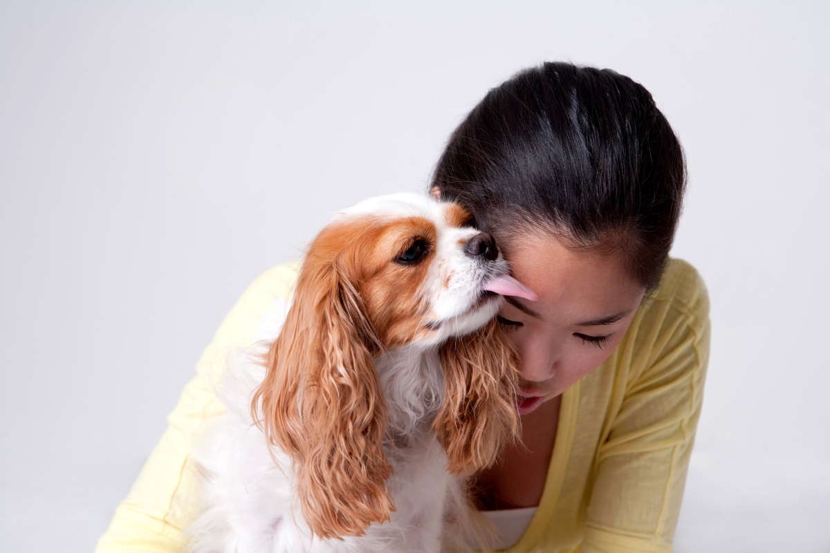 une femme qui se fait lécher le visage par son chien