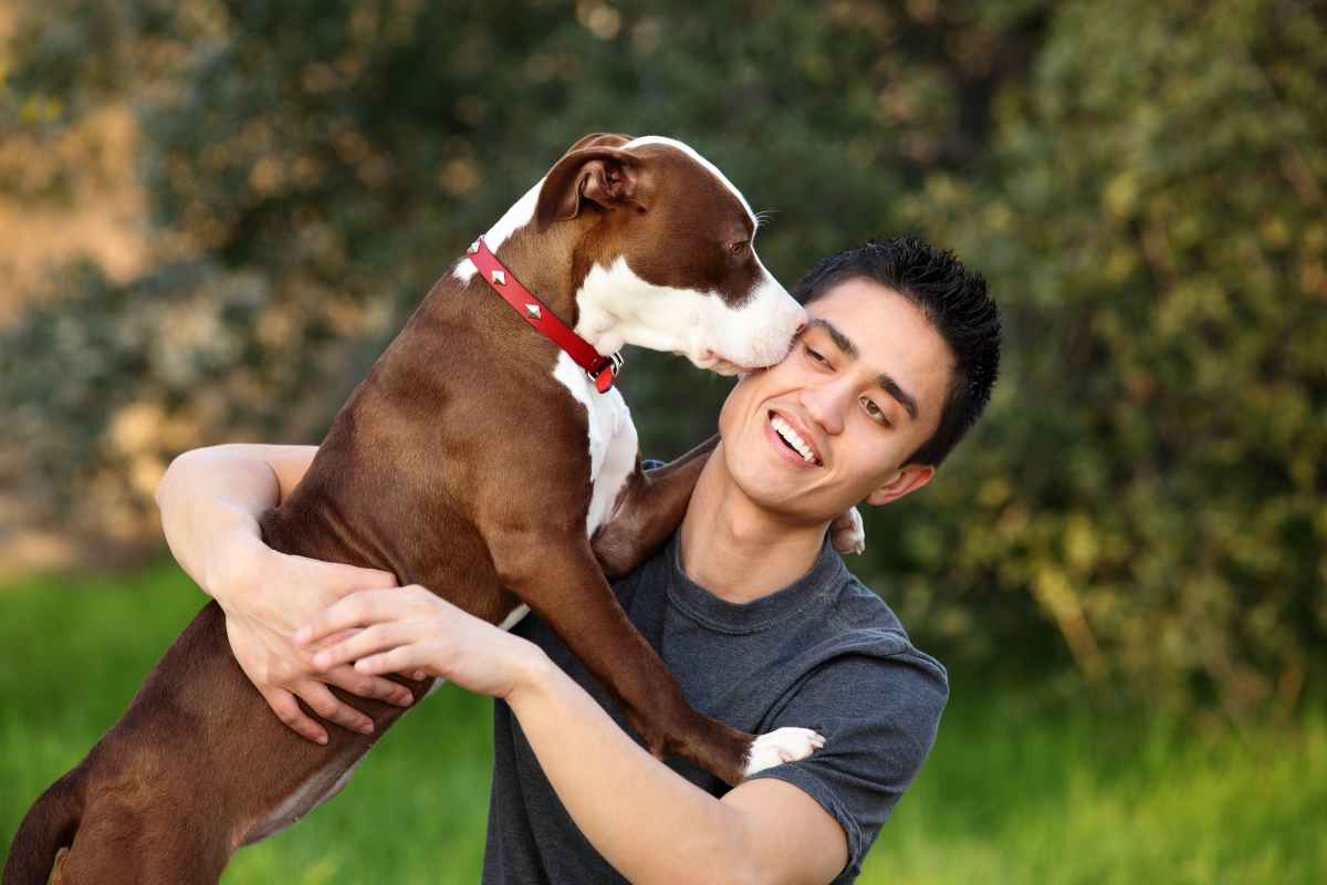 une hommequi se fait lécher le visage par son chien dans un parc