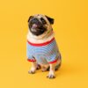 comment faire un body pour chien avec un tee-shirt